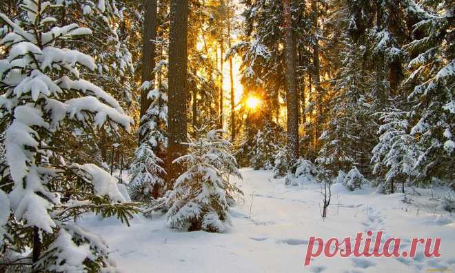 Зима и Новый Год | Wa11papers.ru - Широкоформатные обои для рабочего стола