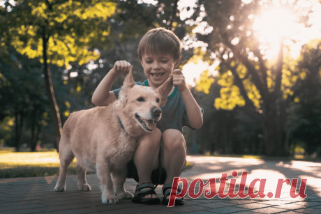 🔥 Исследователи утверждают, что дети младше 5 лет путают эмоции собак
👉 Читать далее по ссылке: https://lindeal.com/research/issledovateli-utverzhdayut-chto-deti-mladshe-5-let-putayut-ehmocii-sobak