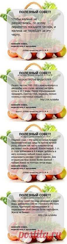 Письмо «Самые популярные Пины за эту неделю!» — Pinterest — Яндекс.Почта