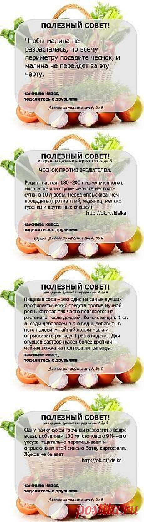Письмо «Самые популярные Пины за эту неделю!» — Pinterest — Яндекс.Почта