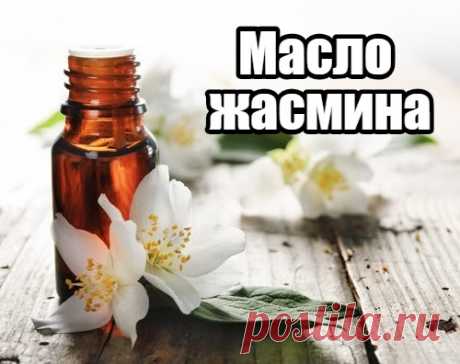 Масло жасмина – целебные рецепты