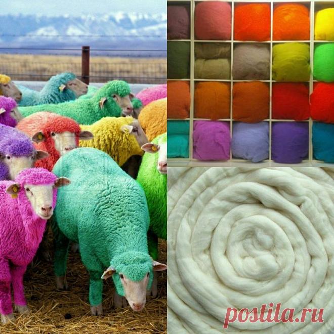 ОЙМОК - Главная | Facebook