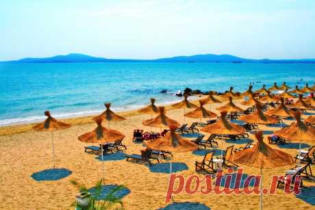 Поиск в Google