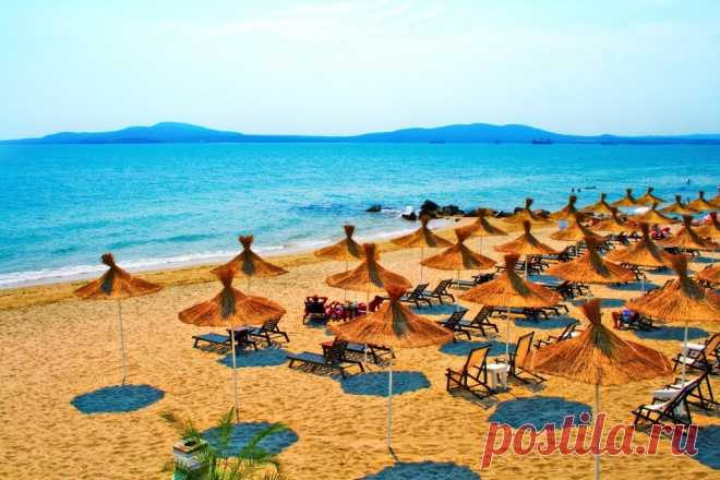 Поиск в Google