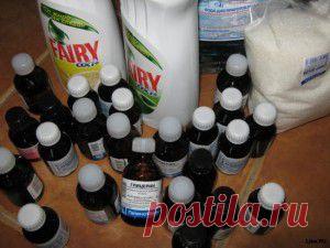 Голубые маки, как твои глаза...