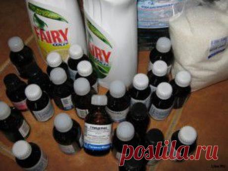 Голубые маки, как твои глаза...