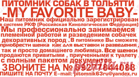 продажа щенков