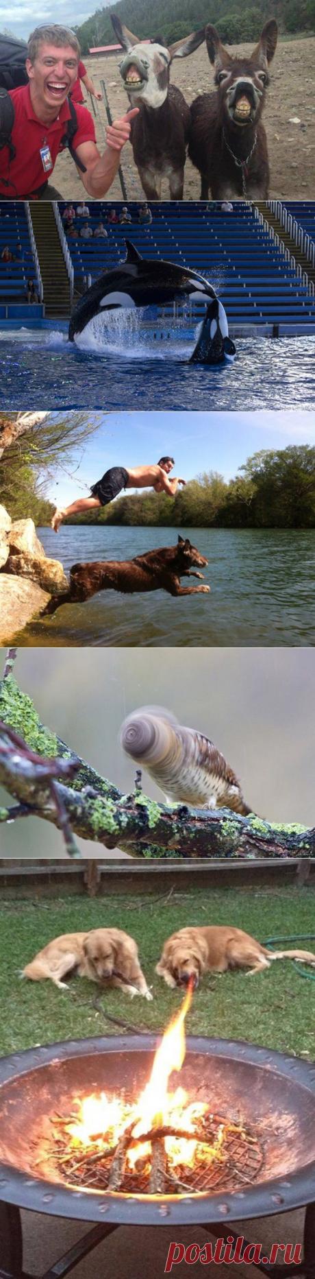 New Collection Of Perfectly Timed Photos (28 Photos)