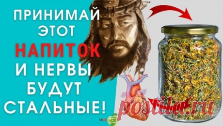Удивительный чай Чингисхана
Как известно Чингисхан со своим войском завоевал практически половину мира. Длительные и утомительные переходы наряду с яростными сражениями, конечно, изматывали воинов хана. Как же им удавалось сохранять силы и нервное равновесие. Оказывается, Чингисхан приказывал своей орде пить специальный чай, который помогал сохранять здоровье и внутреннее спокойствие воинов.
Этот чудесный чай состоял из равных частей душицы, зверобоя и мяты. У тех, кто принимает этот чай, н
