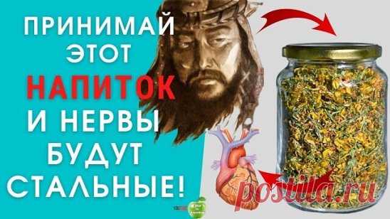 Удивительный чай Чингисхана
Как известно Чингисхан со своим войском завоевал практически половину мира. Длительные и утомительные переходы наряду с яростными сражениями, конечно, изматывали воинов хана. Как же им удавалось сохранять силы и нервное равновесие. Оказывается, Чингисхан приказывал своей орде пить специальный чай, который помогал сохранять здоровье и внутреннее спокойствие воинов.
Этот чудесный чай состоял из равных частей душицы, зверобоя и мяты. У тех, кто принимает этот чай, н