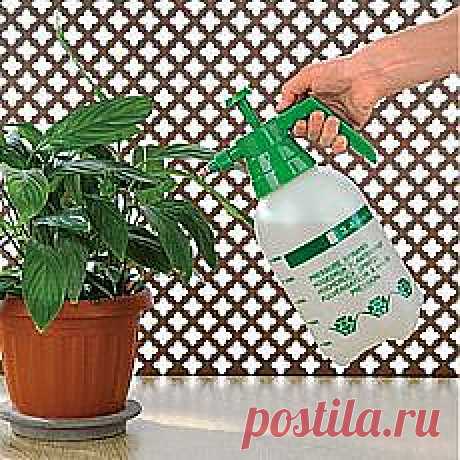 Домашние хитрости | Забота о доме. Фотографии и советы на Постиле
