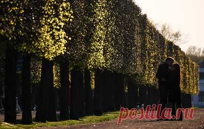 F6: мошенники расширили схему с фейковыми свиданиями. Как сообщили в ИБ-компании, аферисты увеличили количество "мест для свидания", а также стали адаптировать "сценарий" под любой город России