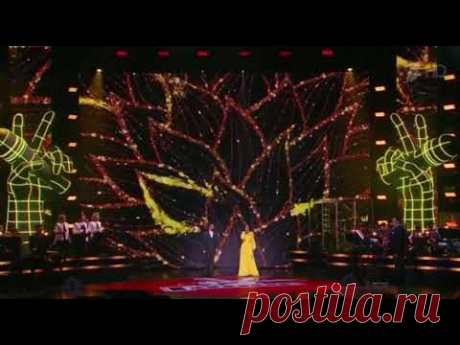 Алла Рид, Влади Блайберг  -Хава нагила