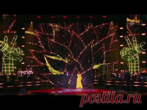 Алла Рид, Влади Блайберг  -Хава нагила