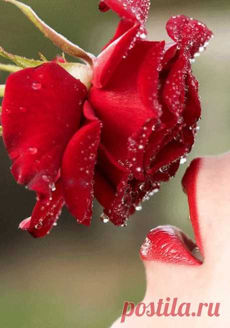 И в ожидание первых Весенних ясных дней Становится немного Теплее и светлей!