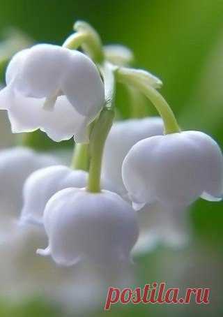 Вдохновение..