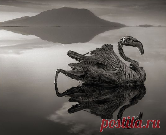 То, что ученые обнаружили внутри камня, найденного на пляже, не поддается объяснениям!