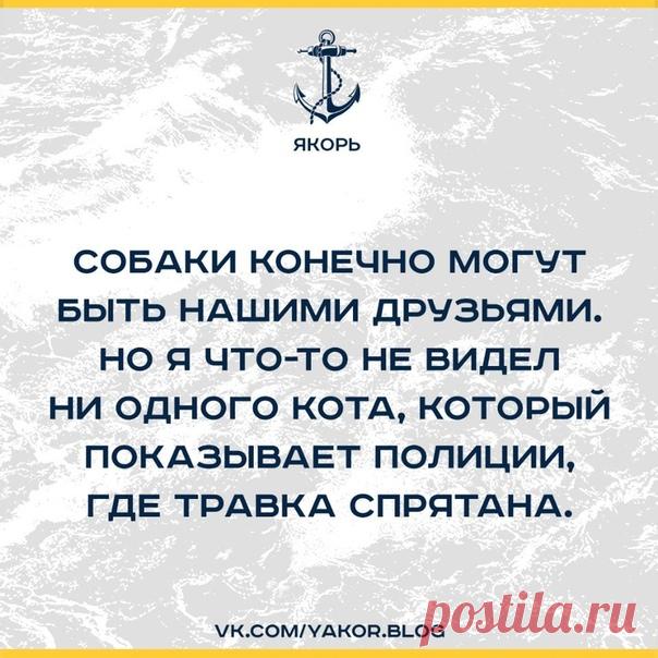 #юмор@yakor.blog