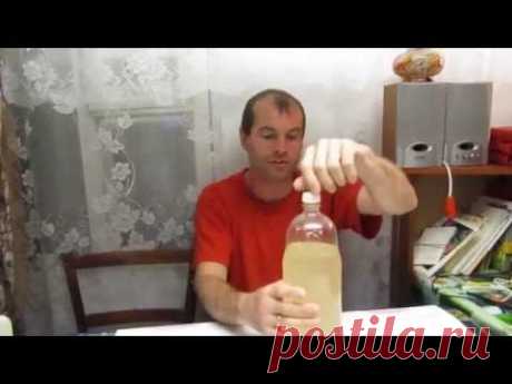Семья Бровченко. Рецепт вкуснейшего ситро (кваса) из соцветий акации или бузины.