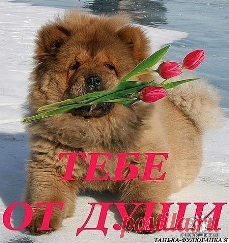 БОЛЬ, МОЕЙ, ДУШИ... (Галина Дедова) / Стихи.ру