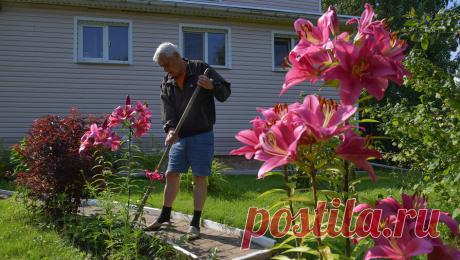 Стало известно, какие товары заказывают россияне в дачный сезон. Весной покупатели интернет-магазинов проявляли наибольший интерес к товарам для строительства (ручные инструменты, стройматериалы, крепежи), товары для дачи (шланги, горшки для рассады, секаторы и сучкорезы, средства от грызунов). В летний ...