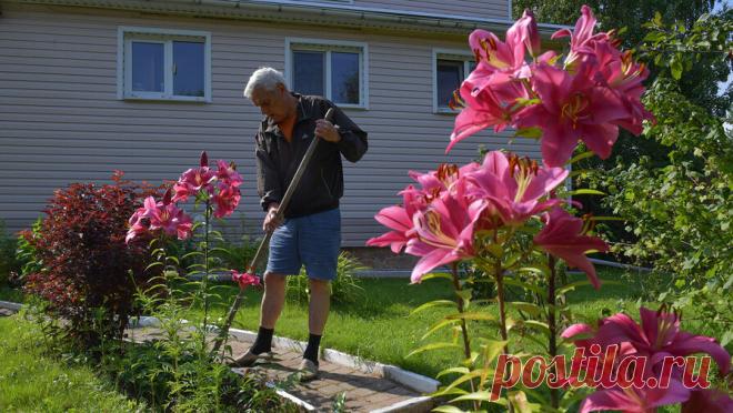 Стало известно, какие товары заказывают россияне в дачный сезон. Весной покупатели интернет-магазинов проявляли наибольший интерес к товарам для строительства (ручные инструменты, стройматериалы, крепежи), товары для дачи (шланги, горшки для рассады, секаторы и сучкорезы, средства от грызунов). В летний ...