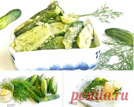 Чтобы мои малосольные огурчики были с особенным пряным вкусом, добавляю в рассол один простой ингредиент