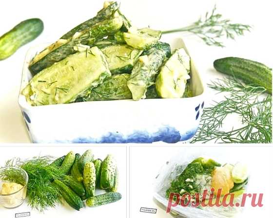 Чтобы мои малосольные огурчики были с особенным пряным вкусом, добавляю в рассол один простой ингредиент