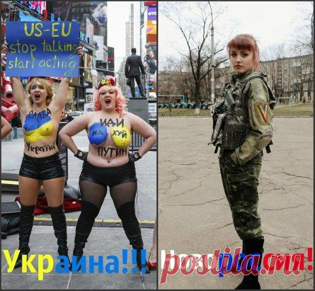 Сравнивайте!