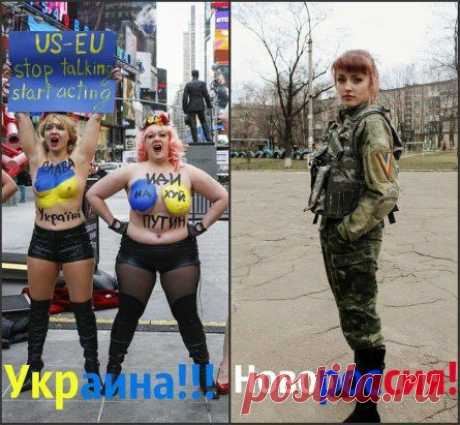 Сравнивайте!