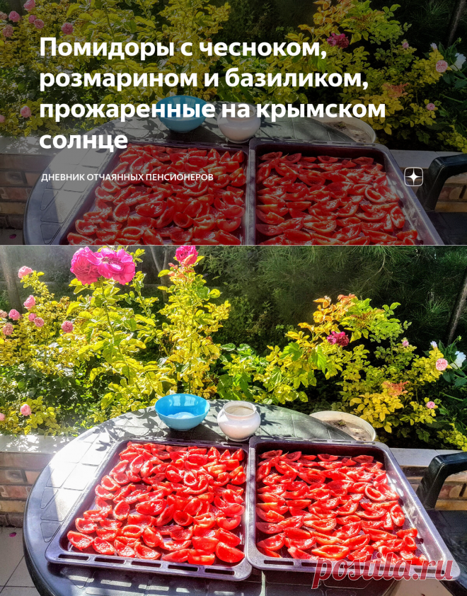 Помидоры с чесноком, розмарином и базиликом, прожаренные на крымском солнце | Дневник отчаянных пенсионеров | Дзен
