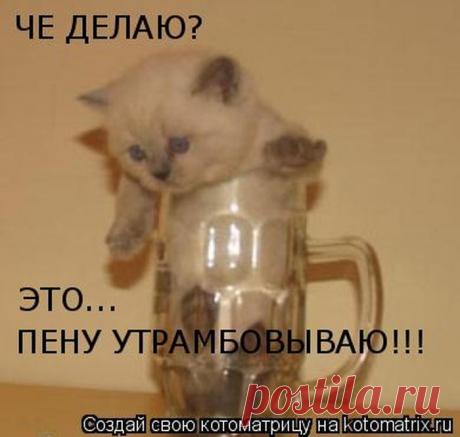 Мысли вслух