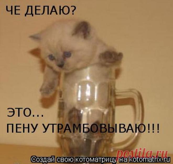 Мысли вслух