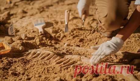 В Иерусалиме археологи раскопали здание, разрушенное во время вавилонской осады