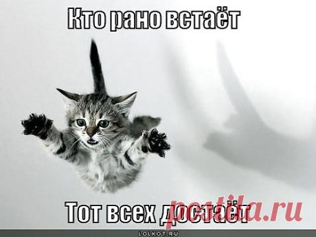 полёт