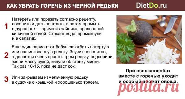 Черная редька — польза и вред для здоровья человека. Грамотные обзоры пользы и вреда продуктов от DietDo.ru!