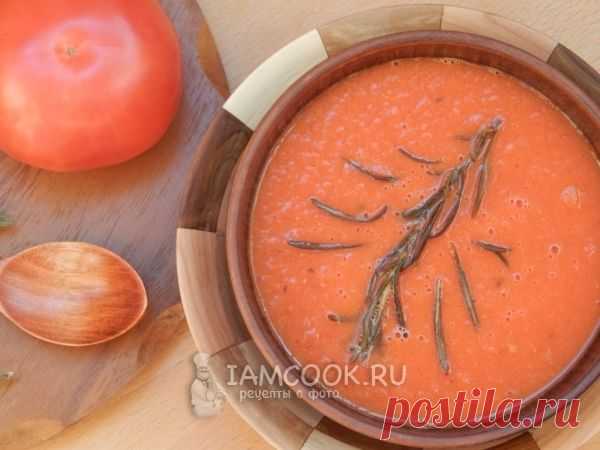 Томатный суп-пюре, рецепт с фото. Как приготовить простой суп-пюре с томатным соком и помидорами?