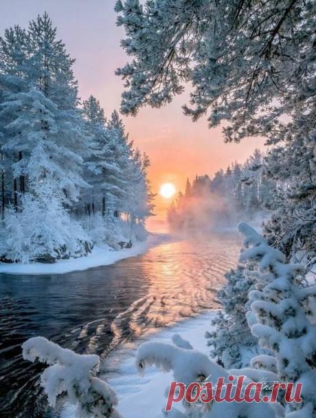 (385) Pinterest