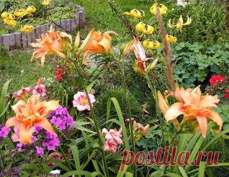 Зависимость от сада: личный опыт избавления