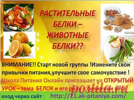 До Нового Года осталось три месяца и Вы ещё успеете превратиться в Золушку, сможете сбалансировать своё питание и получив фигуру своей мечты! Поразите своих мужчин новым сексуальным образом в шикарном платьем и  пусть зависливые подружки охнут от восторга! Сегодня,в 15.00 по мск открытое занятие в Академии Питания! 
Вход по ссылке: https://21.ak-pitaniya.com/