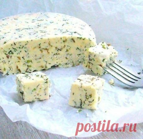Домашний сыр с зеленью и тмином / Изысканные кулинарные рецепты
