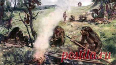 Древние люди спали не только с неандертальцами. | Fraid | Яндекс Дзен