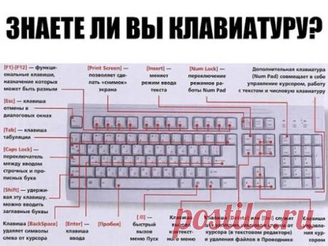 ЗНАЕТЕ ЛИ ВЫ КЛАВИАТУРУ НА СВОЁМ КОМПЬЮТЕРЕ?
F1— вызывает «справку» Windows или окно помощи активной программы. В Microsoft Word комбинация клавиш Shift+F1 показывает форматирование текста;
F2— переименовывает выделенный объект на рабочем столе или в окне проводника;
F3— открывает окно поиска файла или папки на рабочем столе и в проводнике. Комбинация клавиш Shift+F3 часто используется для поиска в обратном направлении;
F4— открывает выпадающий список, например, список строки адреса в окне ‘