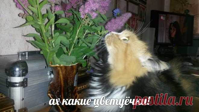 Редактировать описание