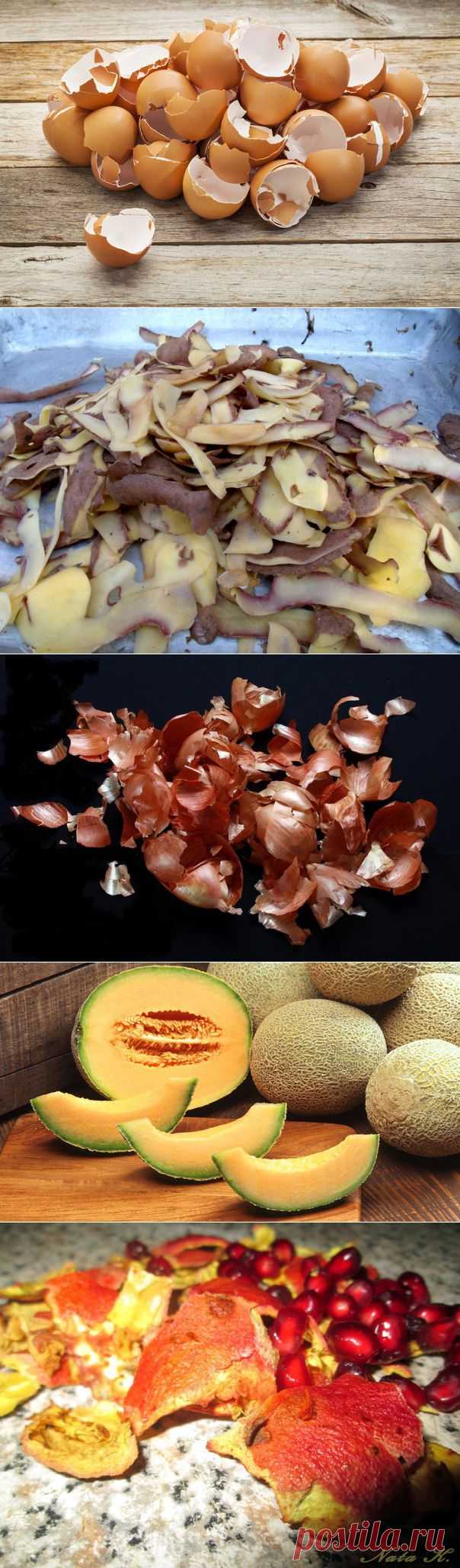 Лекарства из... продуктовых отходов