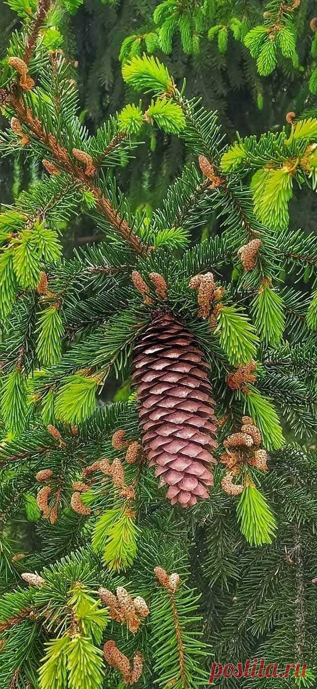i (640×1388)