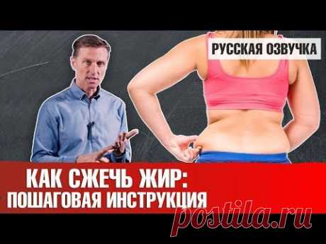 КАК СЖЕЧЬ ЖИР: пошаговая инструкция (русская озвучка)