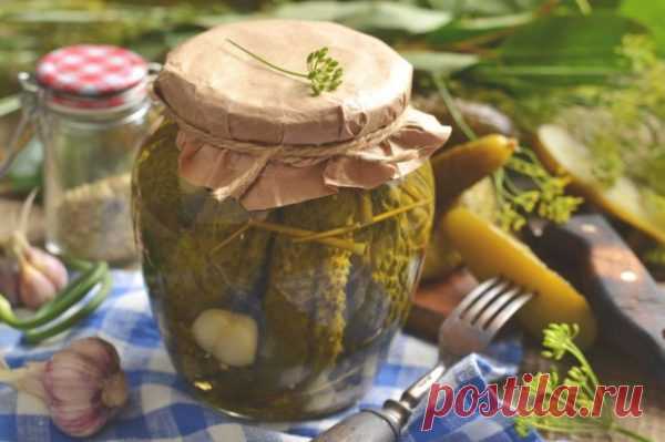 Огурчики на зиму в горчичном маринаде с чесноком. Все в шоке, какие вкусные!