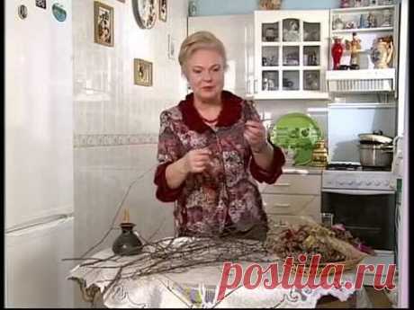 Наталя Земна - Береза 1 - "Ранок. Домашній лікар"