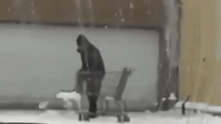 Субботник в дурдоме =))